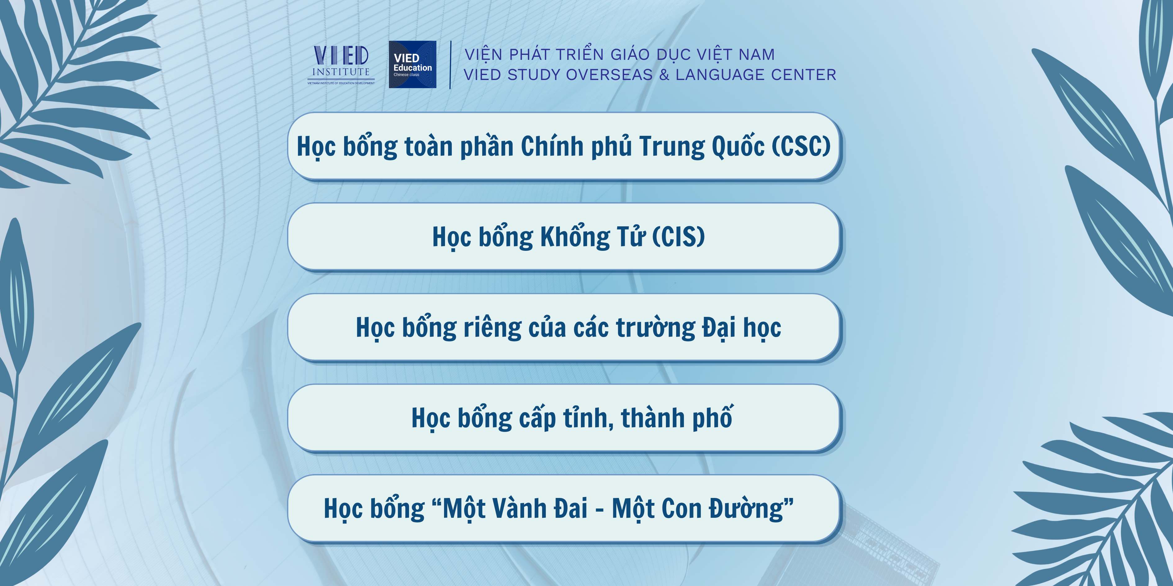 Cẩm nang các loại học bổng du học Trung Quốc mới nhất năm 2026